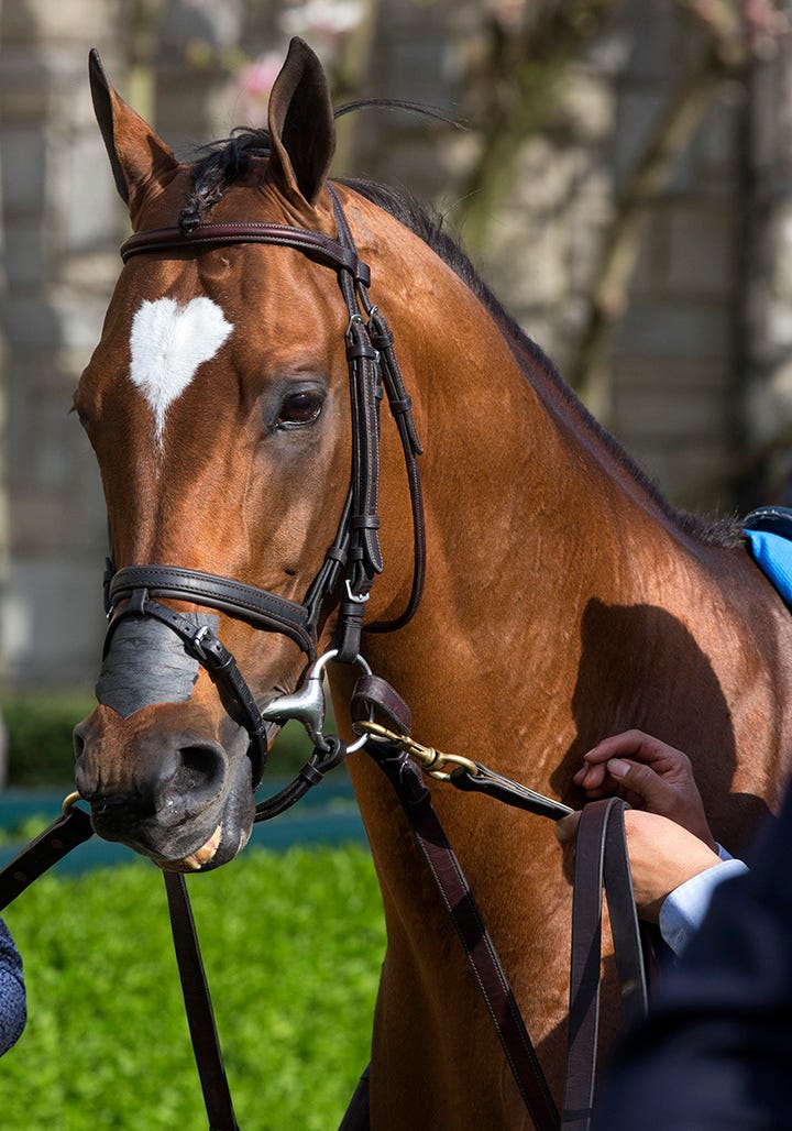 Heart to Heart to stand at Kentucky's Crestwood Farm